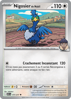 Nigosier de Nabil