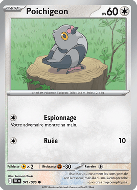 Poichigeon