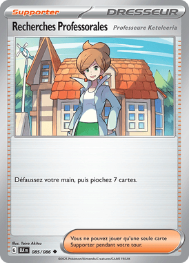 Recherches Professorales