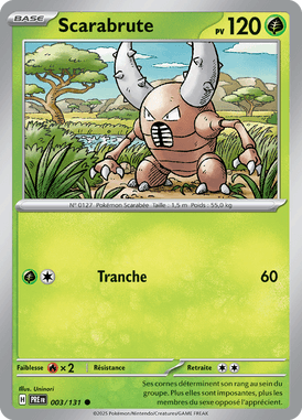 Scarabrute