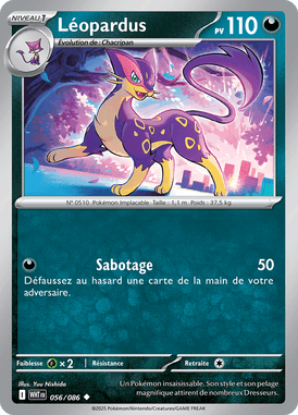 Léopardus