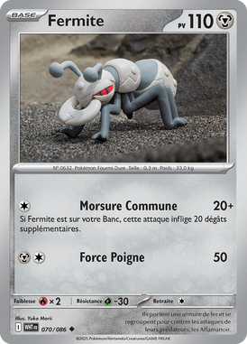 Fermite